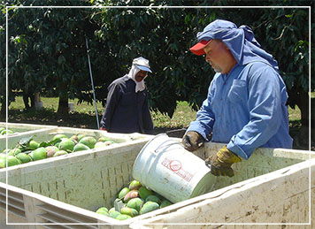 farm products