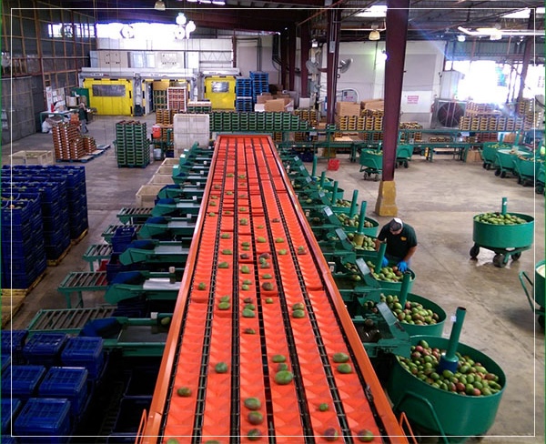 farms facility