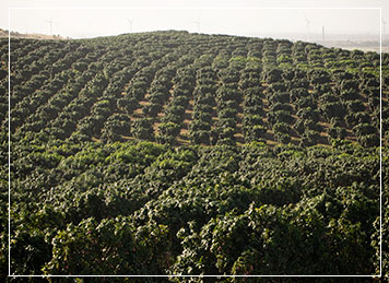 farms