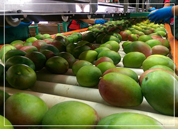 farm products