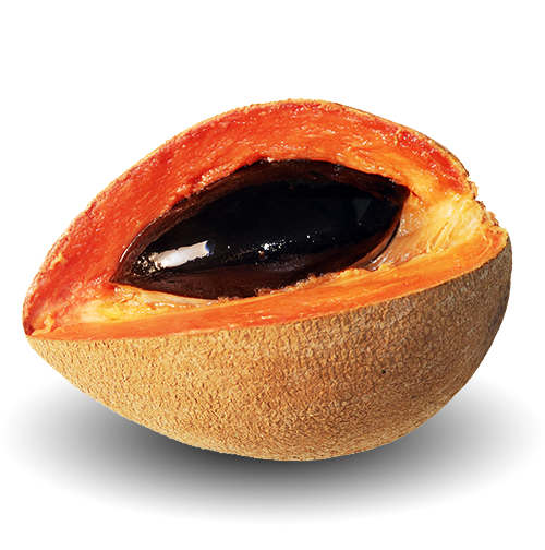 mamey sapote