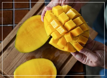 farm mangos