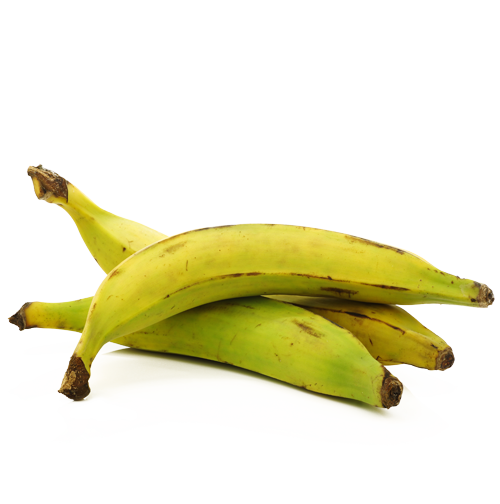 plantain