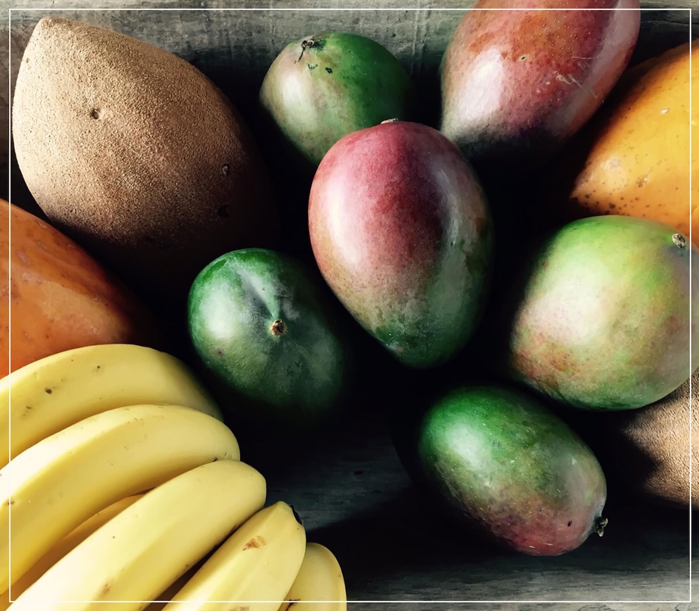 farm fruits